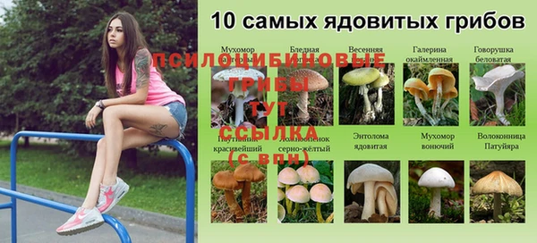 прущие крисы Арсеньев