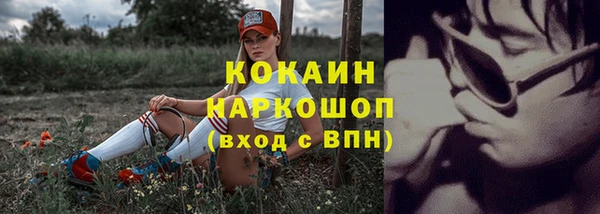 ешки Аркадак