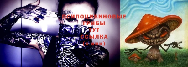 прущие крисы Арсеньев